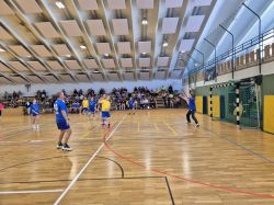 MT BFHS 04